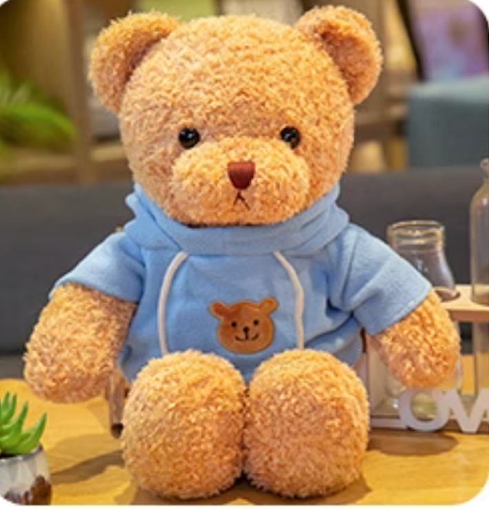 Teddy bear