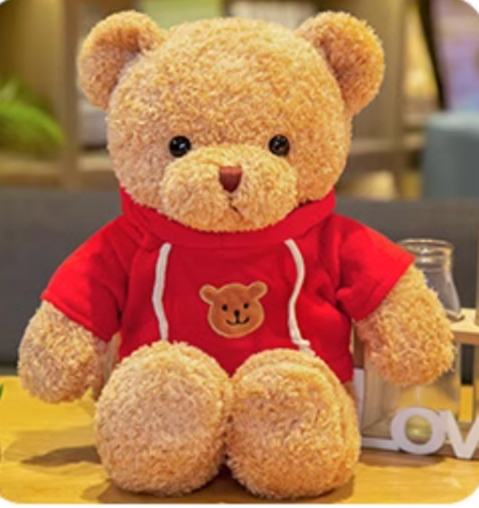 Teddy bear