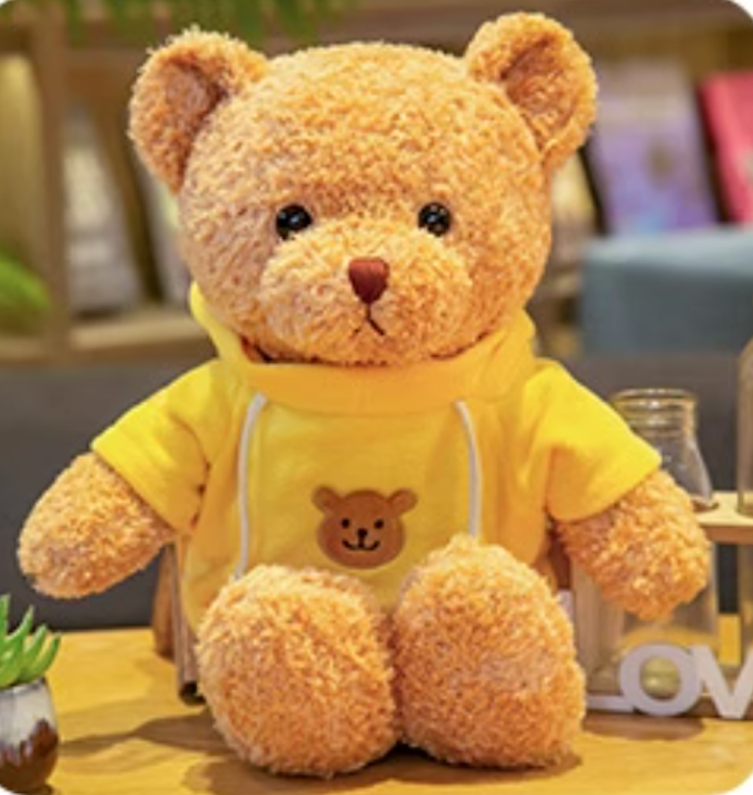 Teddy bear
